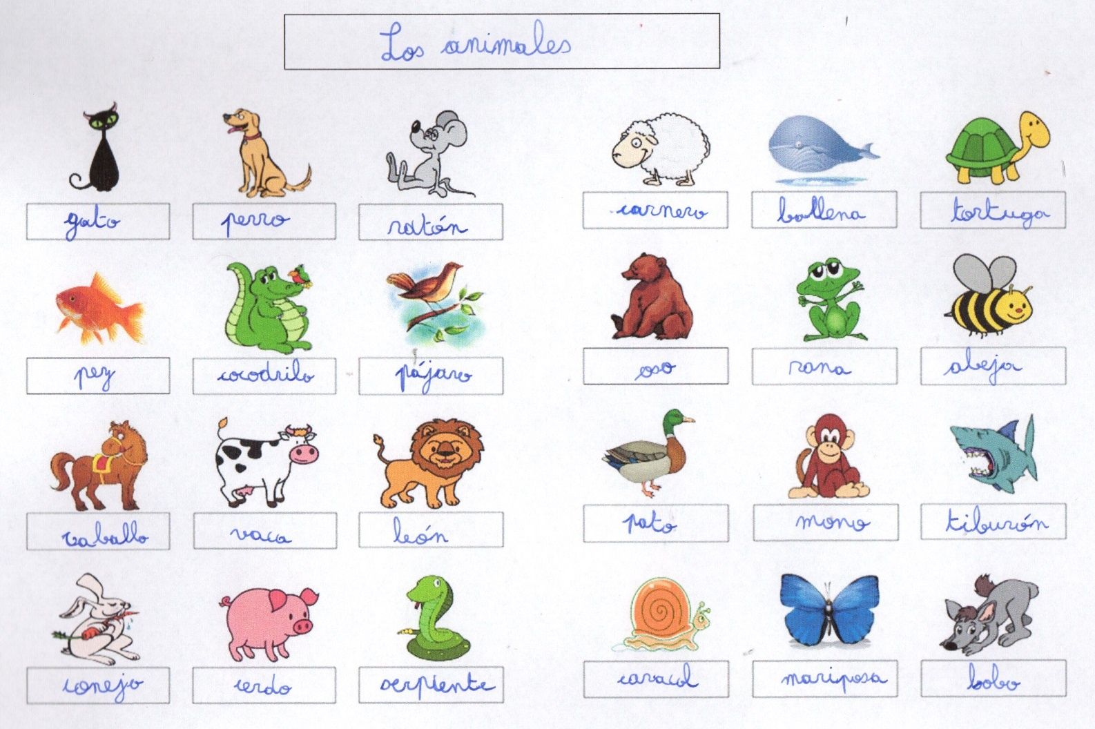 Tous Les Animaux En Anglais Waw27 Napanonprofits