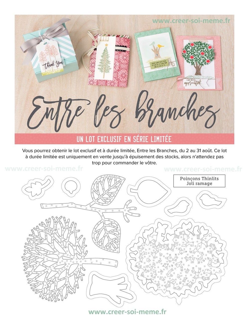 Un lot exclusif en série limitée