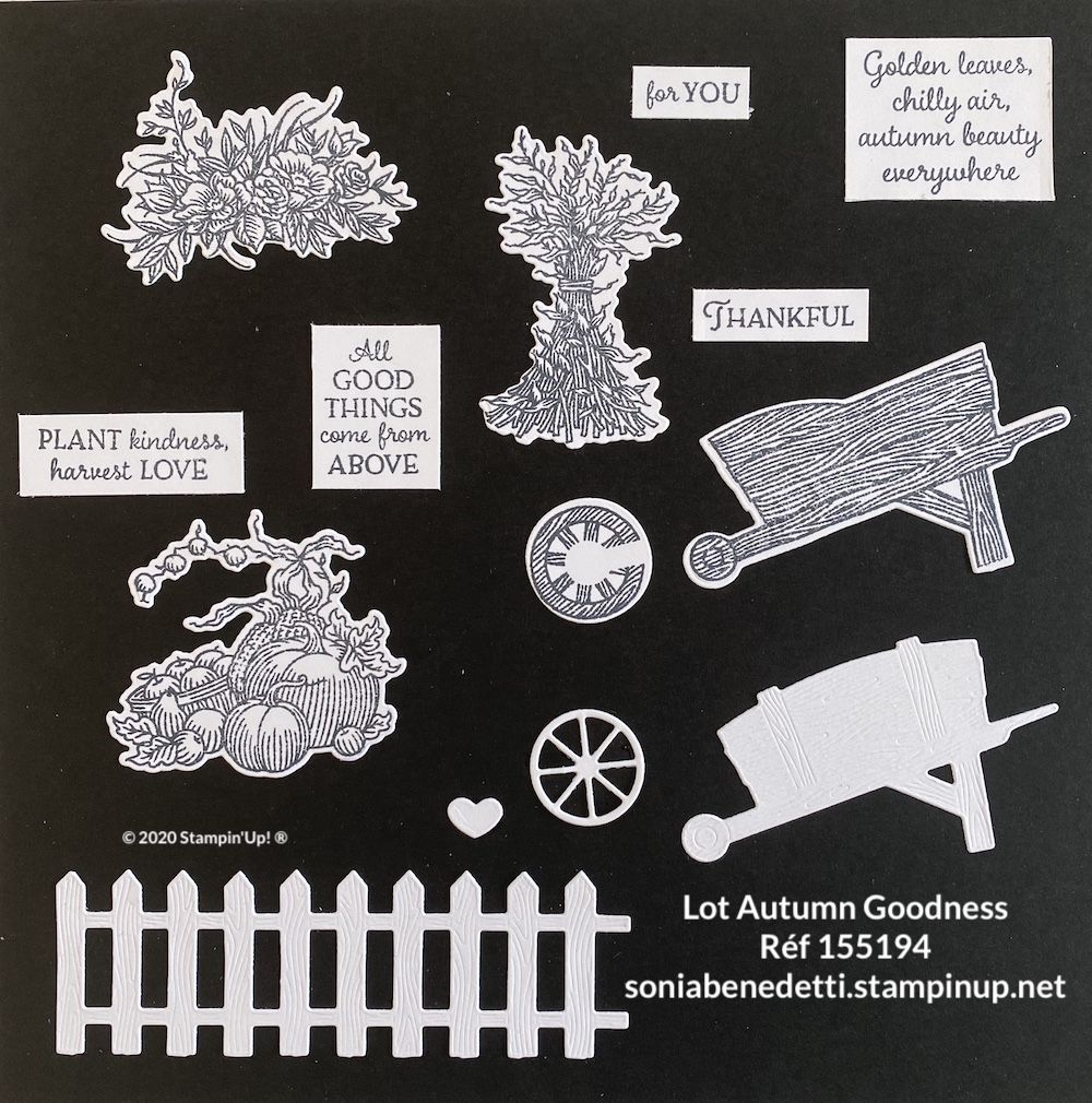 Le lot Autumn Goodness comprend le set de tampons Autumn Goodness et les poinçons Brouette d’abondance stampin up 155194
