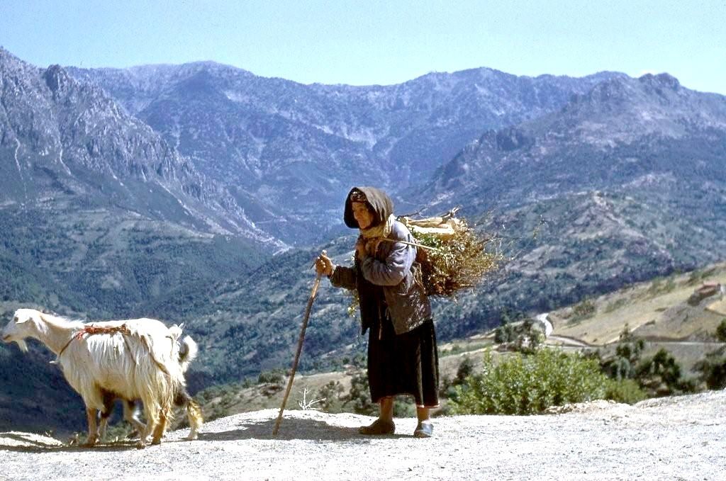 Photo du Dr Boucher, At Saada, années 60