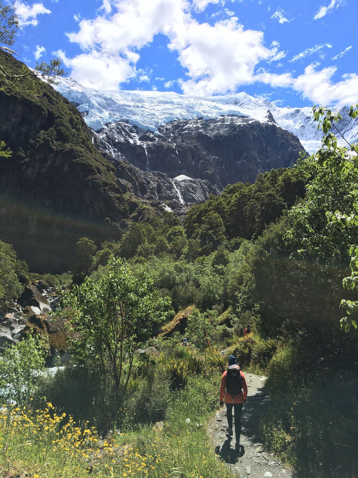 Coup de coeur pour Rob Roy Glacier ~ Randonnée en Nouvelle Zélande