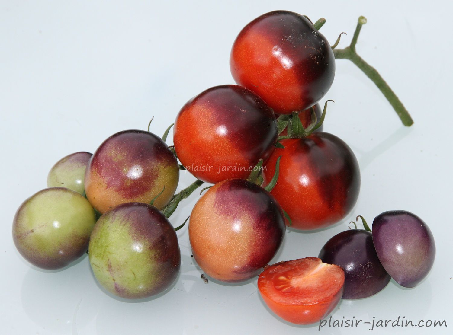 Tomate cerise : les meilleures variétés - Promesse de Fleurs