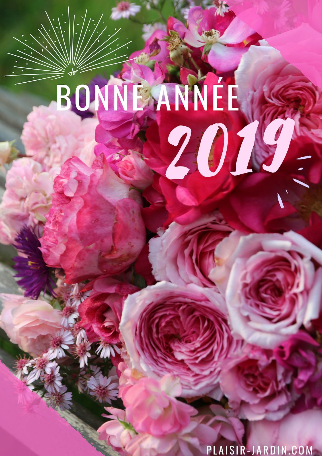 Bonne année 2019 !