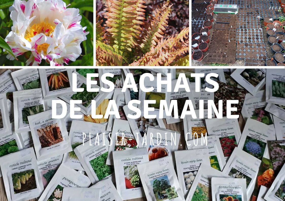 Les dernieres trouvailles du jardin.