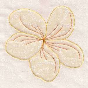 Broderies machine : étiquettes, etc...