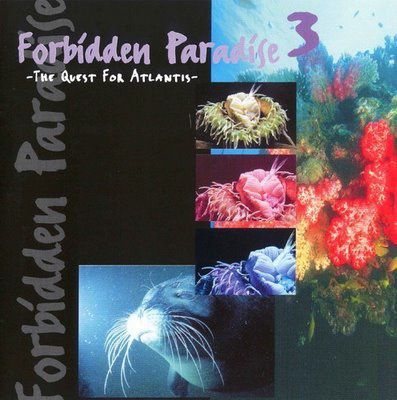 Tiësto compilation: Forbidden Paradise 3