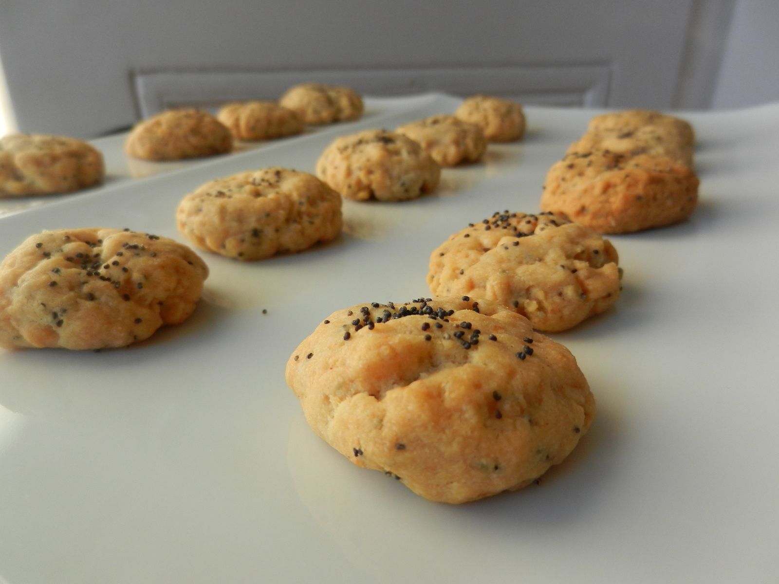 Biscuits apéro parmesan / piment / pavot 