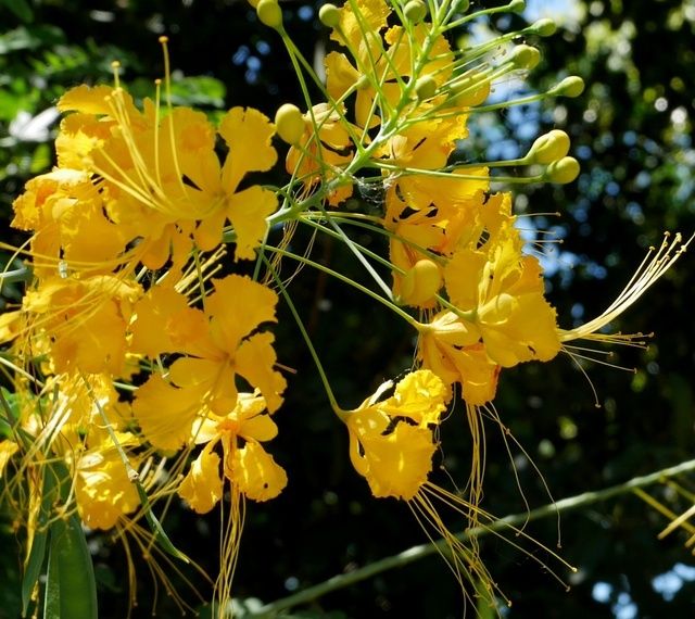 Réunion 12 : le jardin d'Eden (1/3) - le blog alain Barré