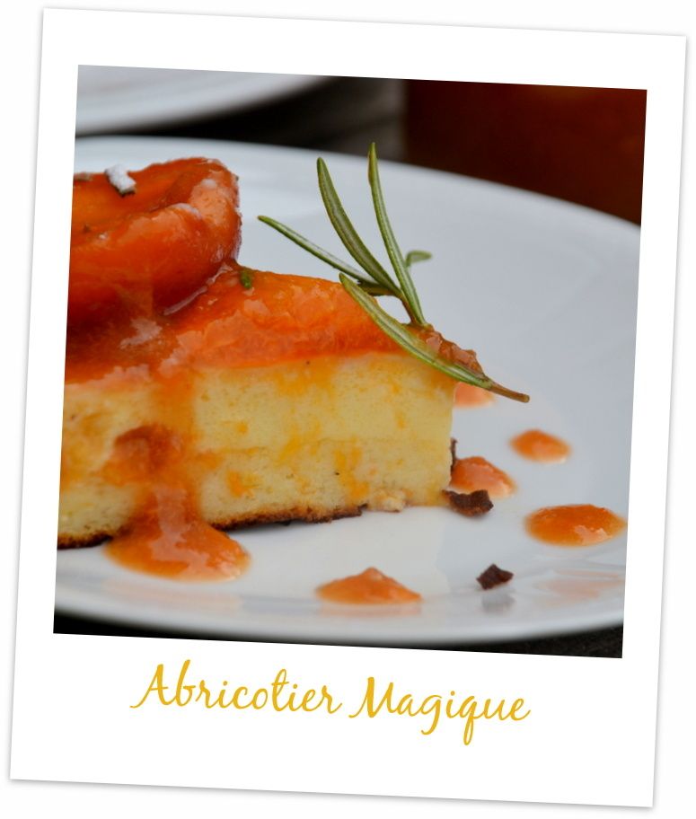 Gateau Magique A L Abricot Et Romarin Ou Abricotier Magique Nuage De Lait