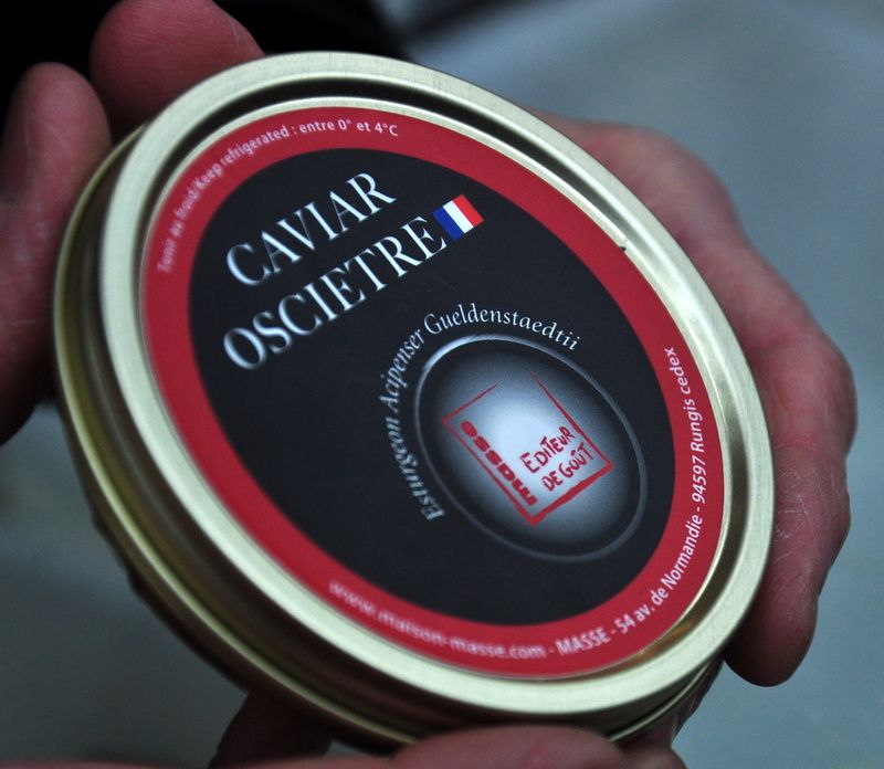 Caviar  oscietre