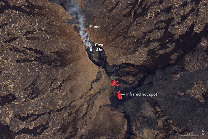 Erta Ale - 26.01.2017 - gas plume at the southern pit of the caldera and flank eruption - doc.NASA Earth Observatory image by Joshua Stevens, using Landsat data from the U.S. Geological Survey. Caption by Adam Voiland. - Landsat 8 OLI