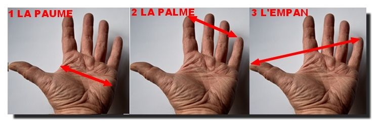 la main photographiée n'est pas conforme aux définitions.