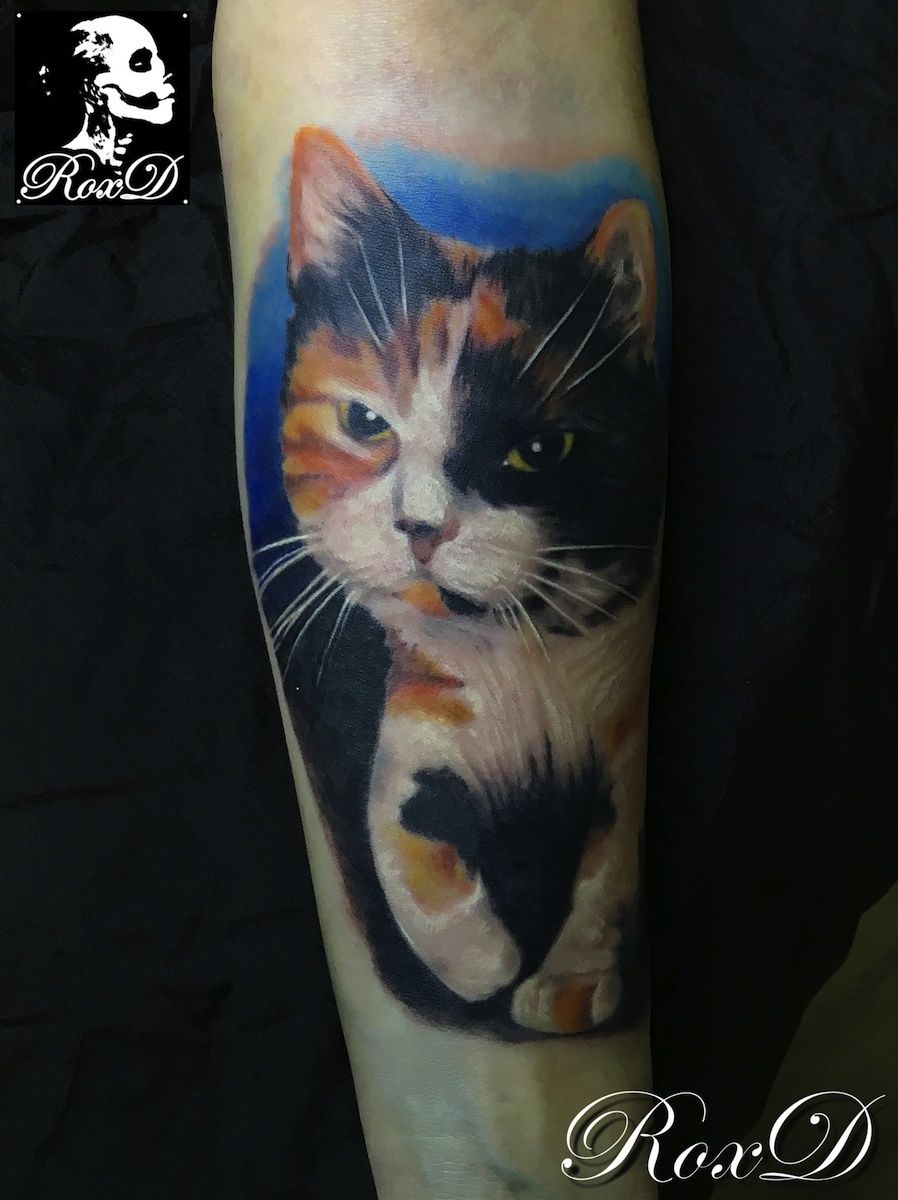 Tatouage Chat Realiste Cristattoo