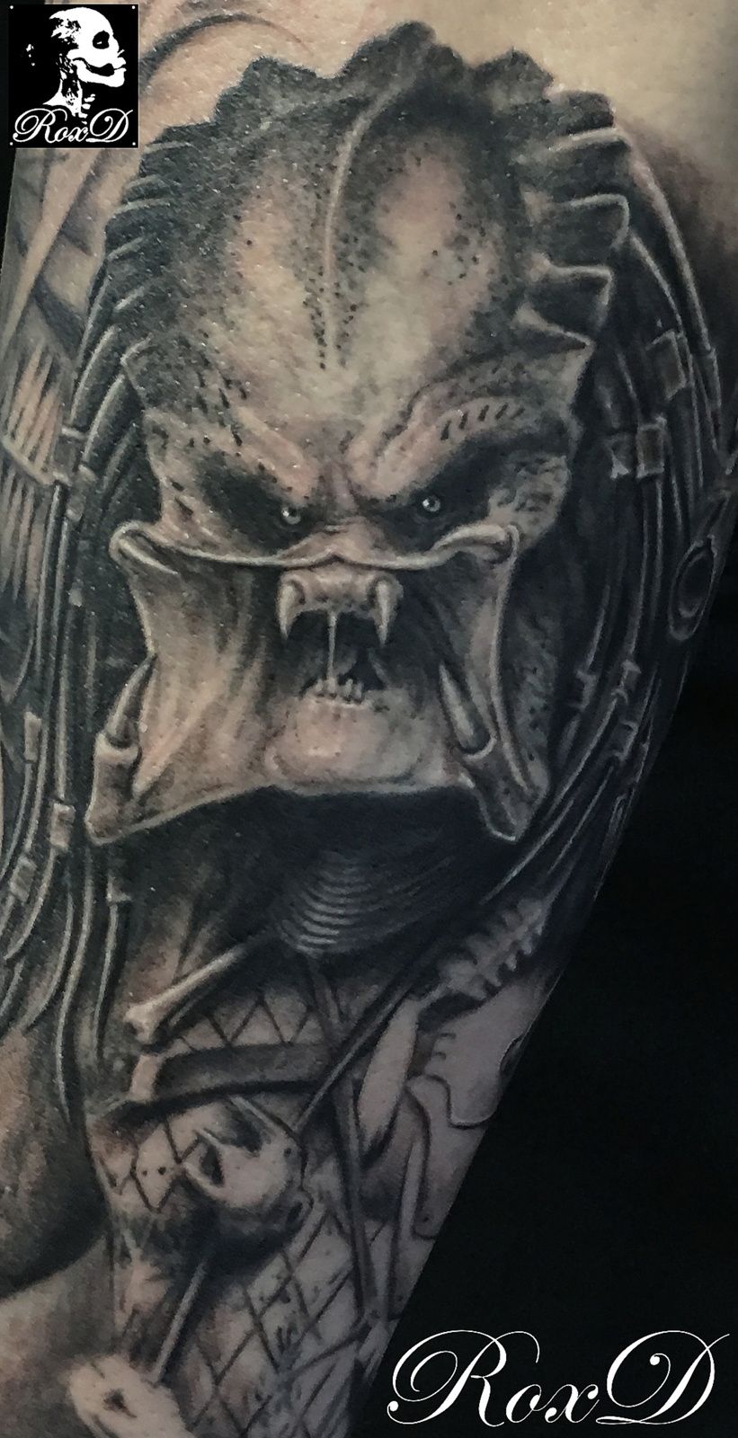 predator tattoo