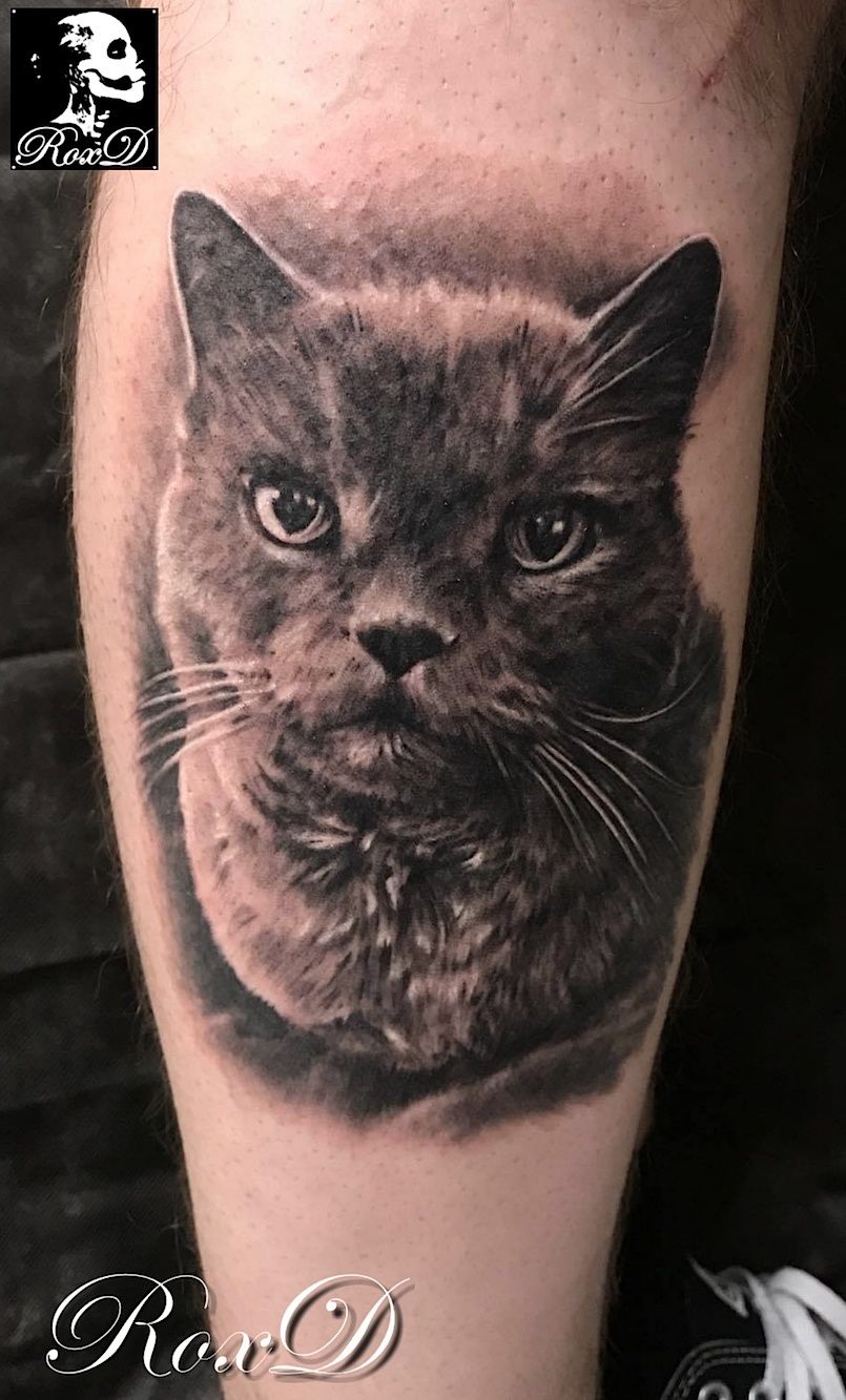 Tatouage Portrait Chat Realiste Cristattoo