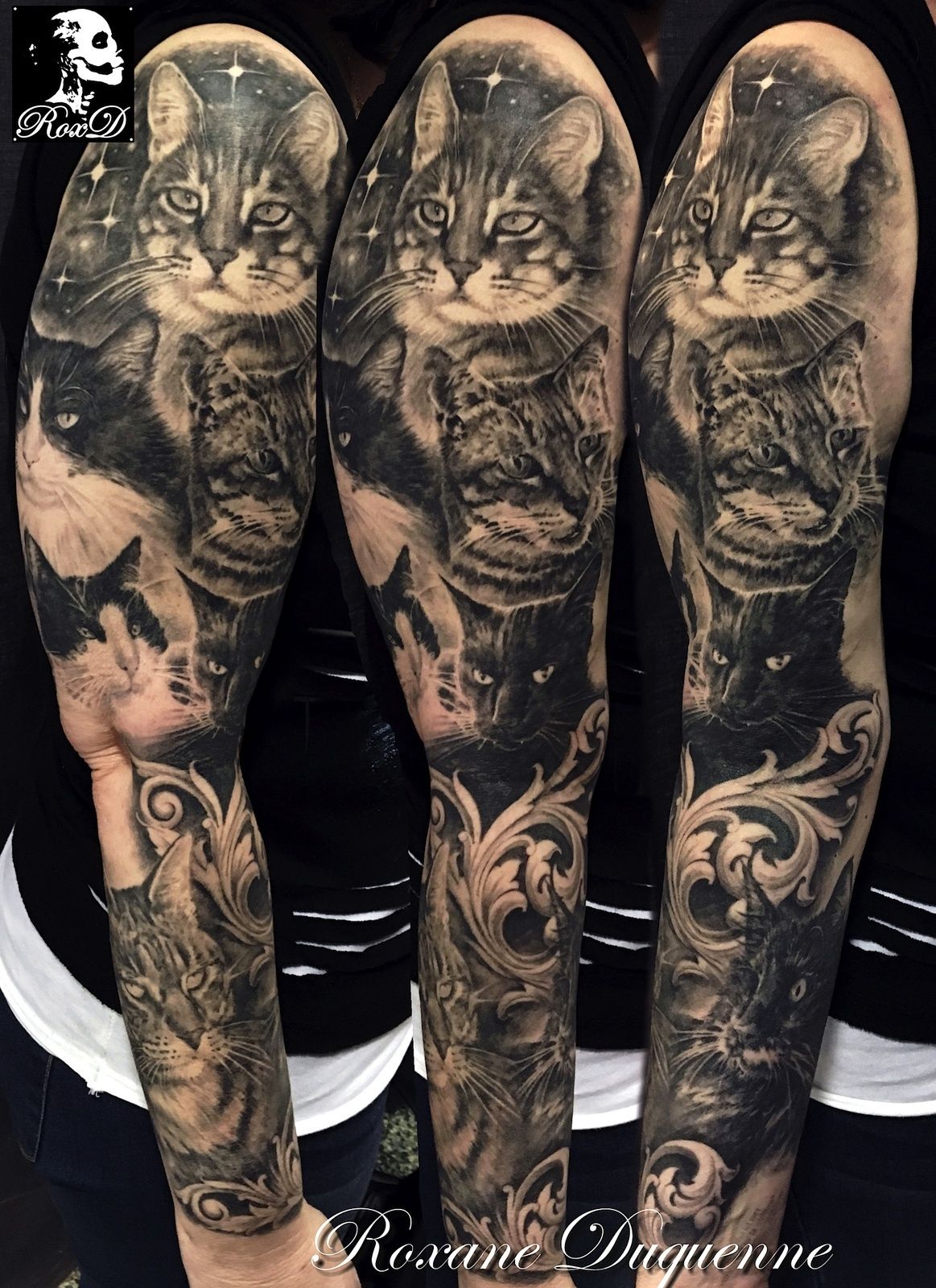 Tattoo Sleeve Portraits Cats Cristattoo