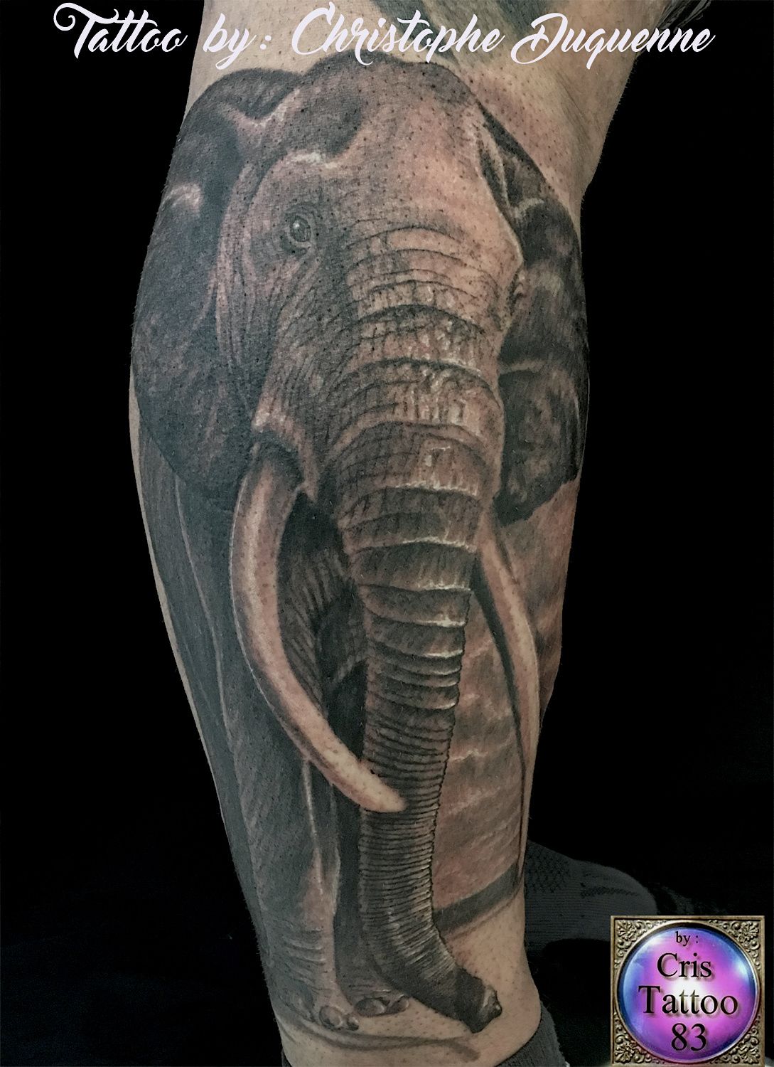 tatouage éléphant