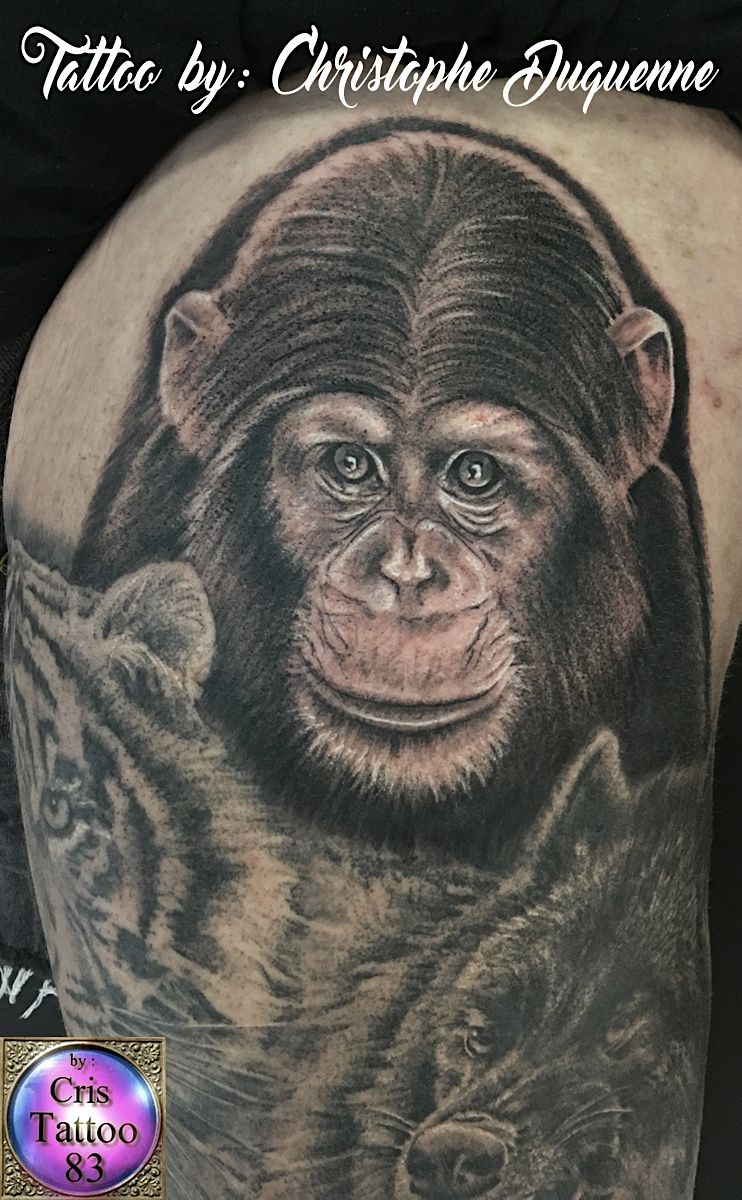 tatouage chimpanzé