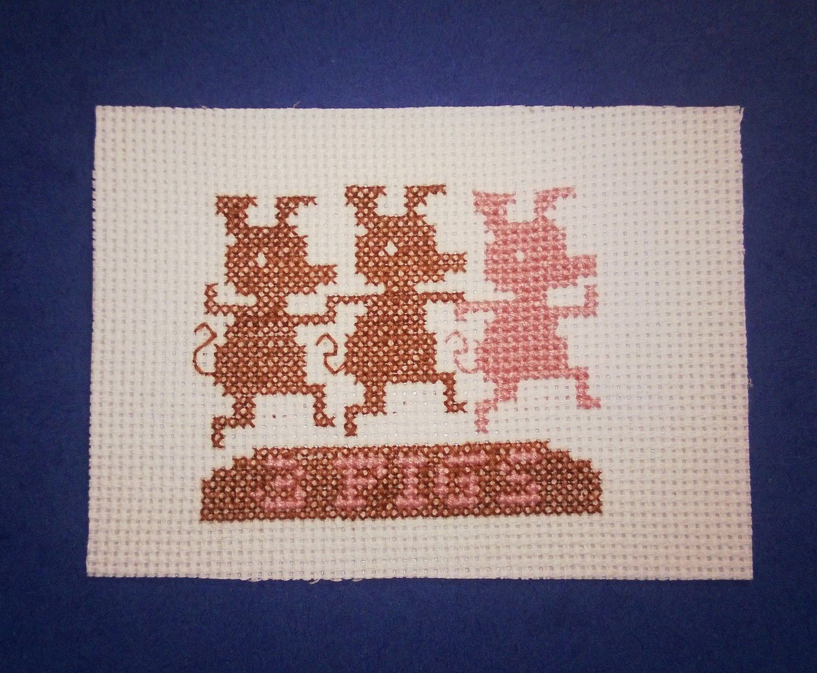 ATC cochon.....groupe A