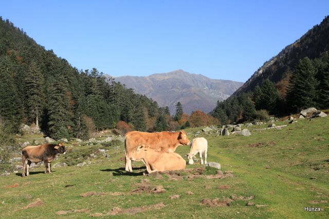 Le pic du Cabaliros vu depuis la vallée de Lutour