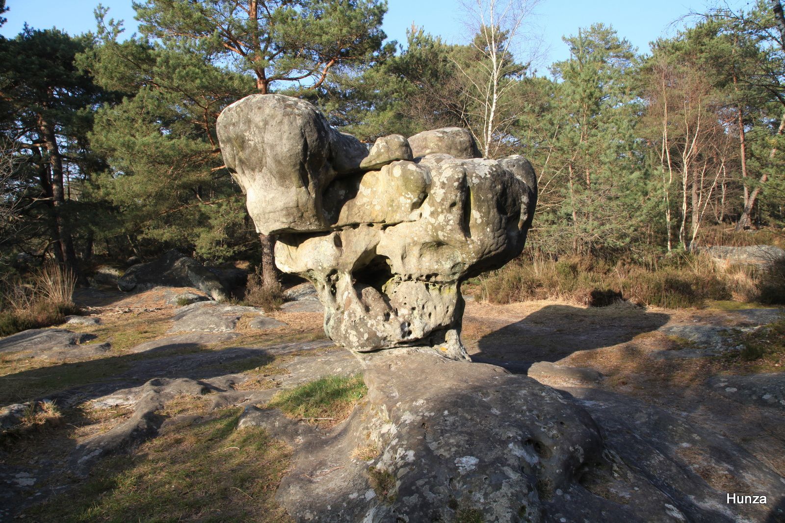 Forêt de Fontainebleau, le Sphinx des Druides