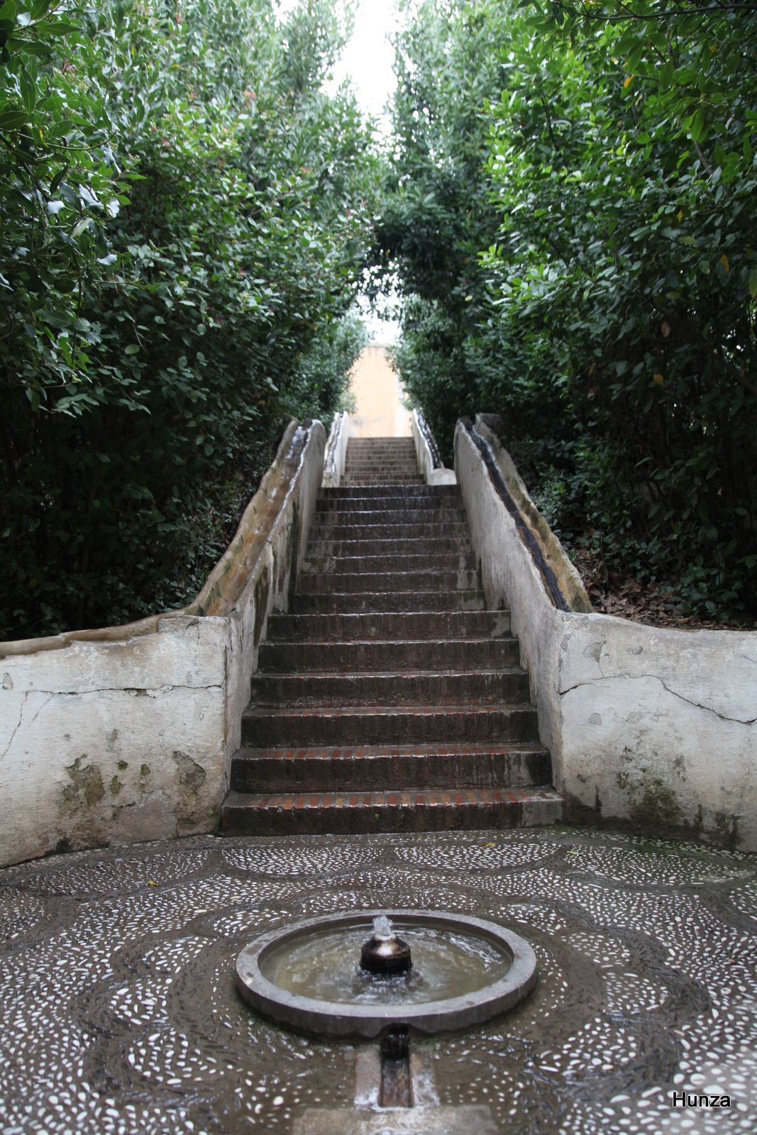 Escalera del Agua, jardins du Generalife, Alhambra