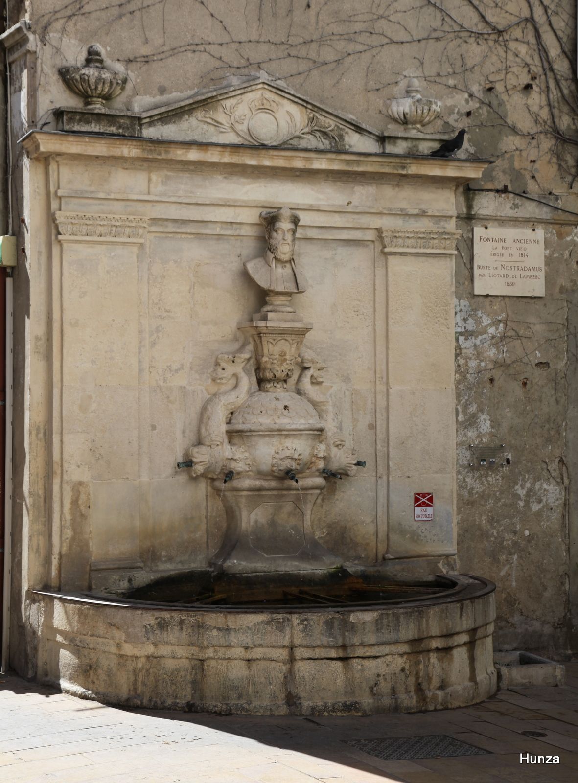Saint-Rémy de Provence, fontaine Nostradamus