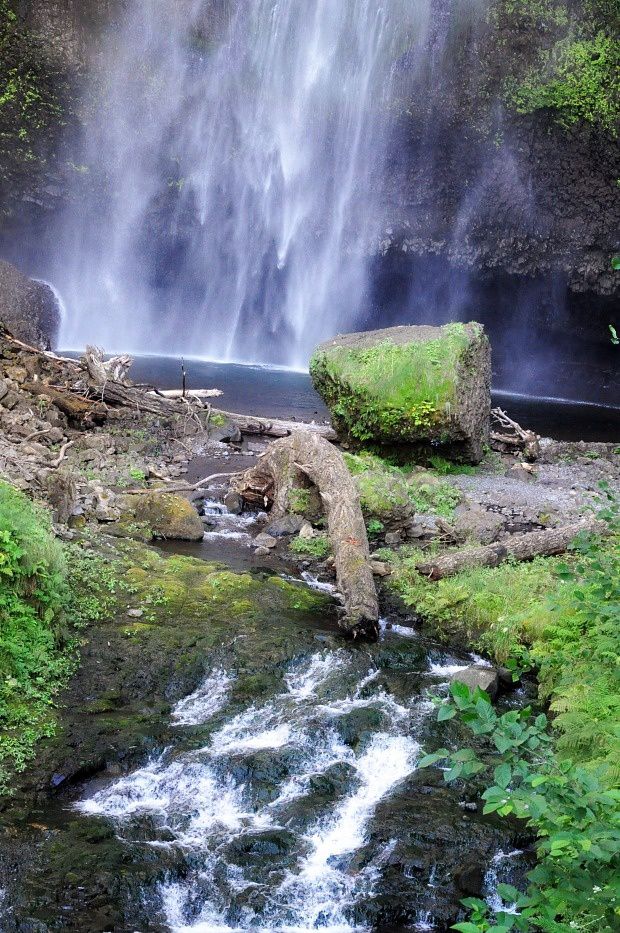 Doria aux Etats Unis dans l'Oregon (2016 - 9)... Multnomah falls