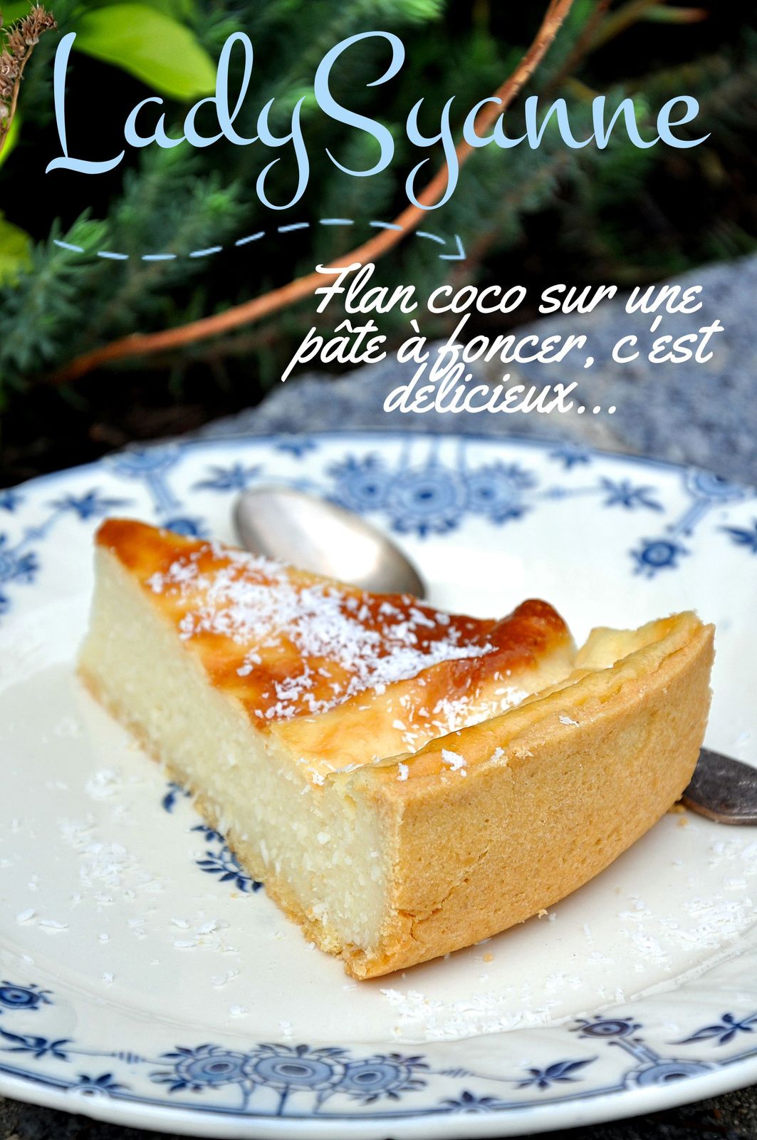 Tarte Flan à La Noix De Coco De Ladysyanne