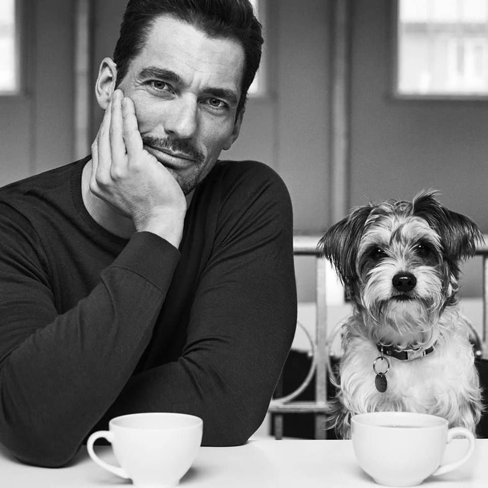 David Gandy 18092019 - les chroniques d'Istvan