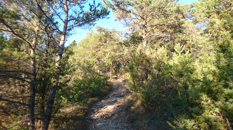 Chemin des Mariés : des parties difficiles