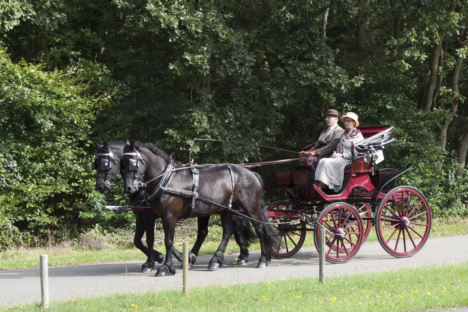 Championnat de Hollande d'attelage de tradition 2014