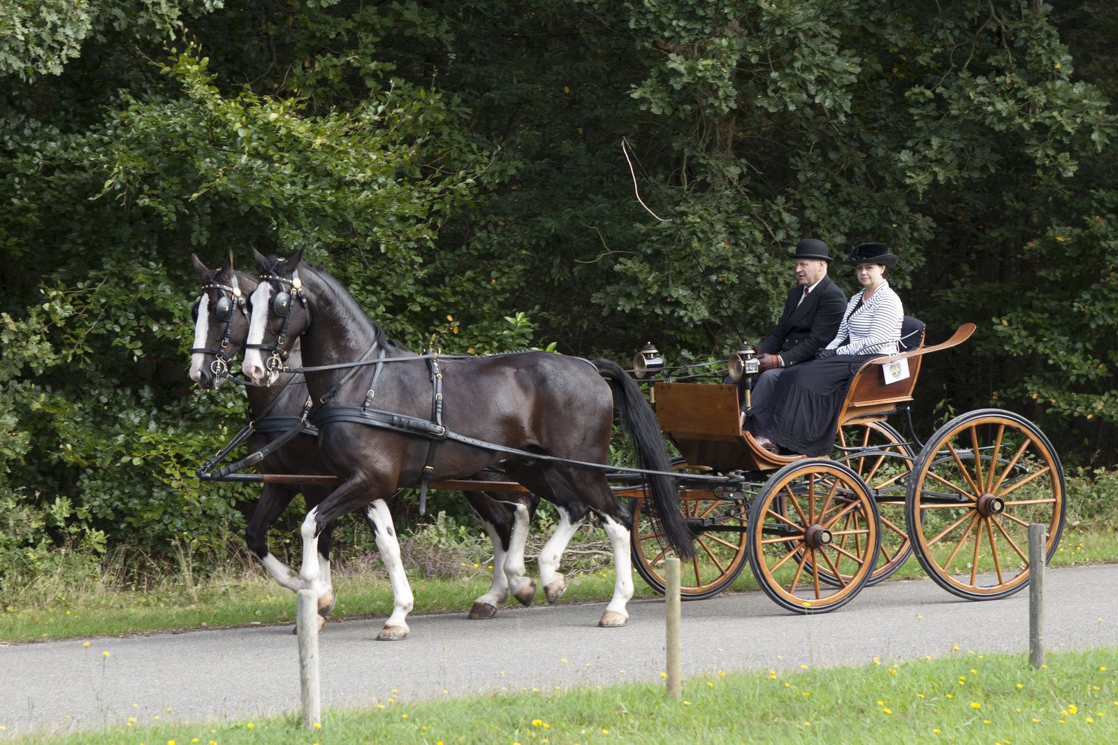 Championnat de Hollande d'attelage de tradition 2014
