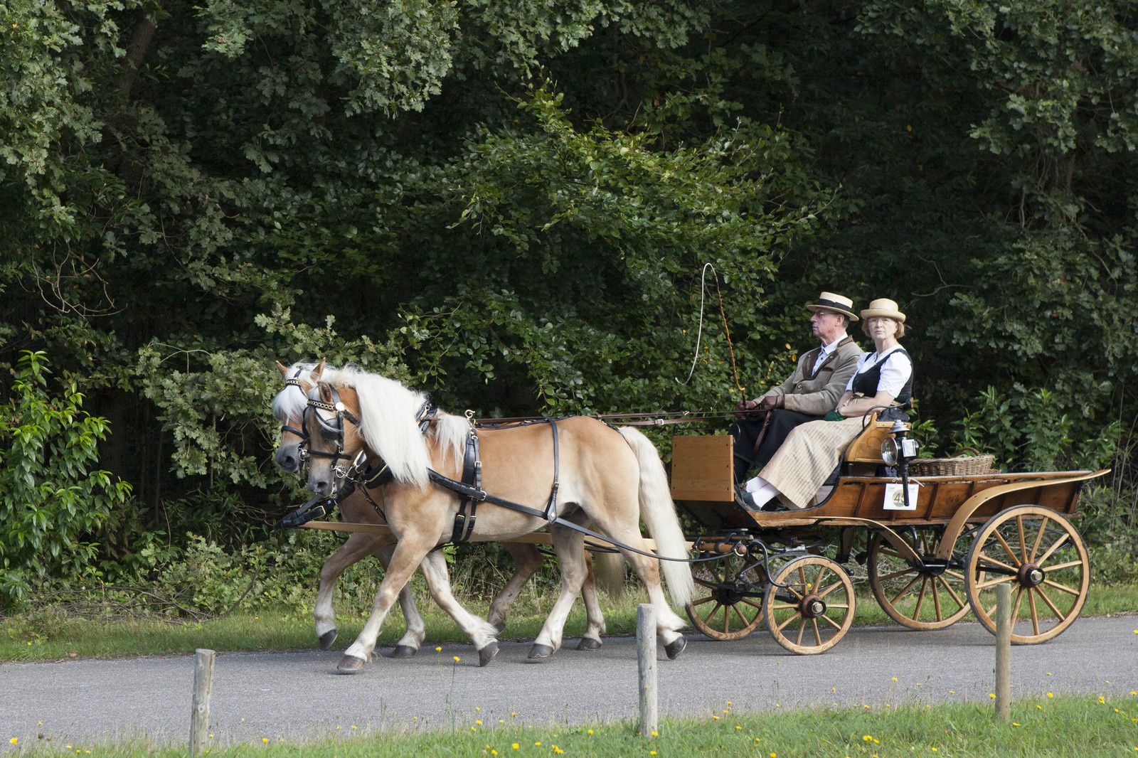 Championnat de Hollande d'attelage de tradition 2014