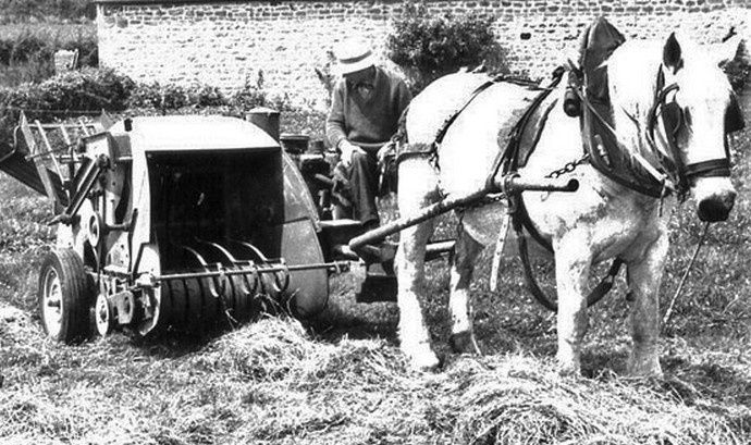 Vidéos de chevaux au travail dans les années 1930-60 - attelage-patrimoine