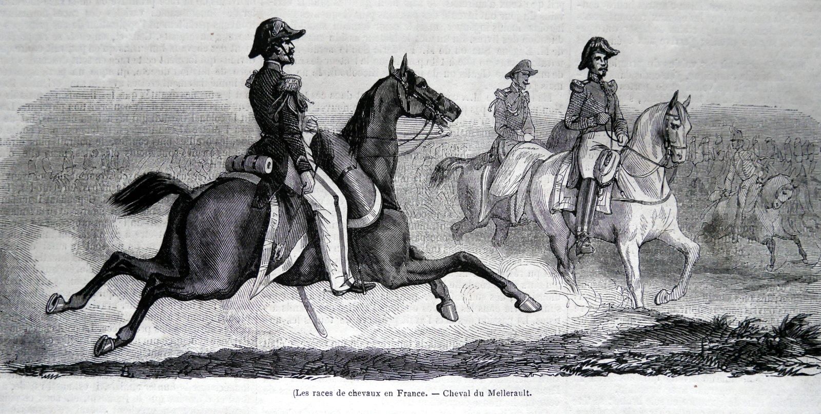 De l'utilisation des races de chevaux en 1846