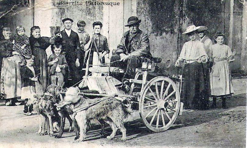 Chien de trait ; le cheval du pauvre. - attelage-patrimoine