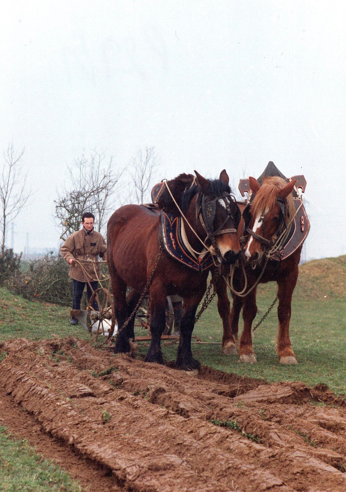 Reuilly, hiver 1990 : un apprenti laboureur… (photo DR)