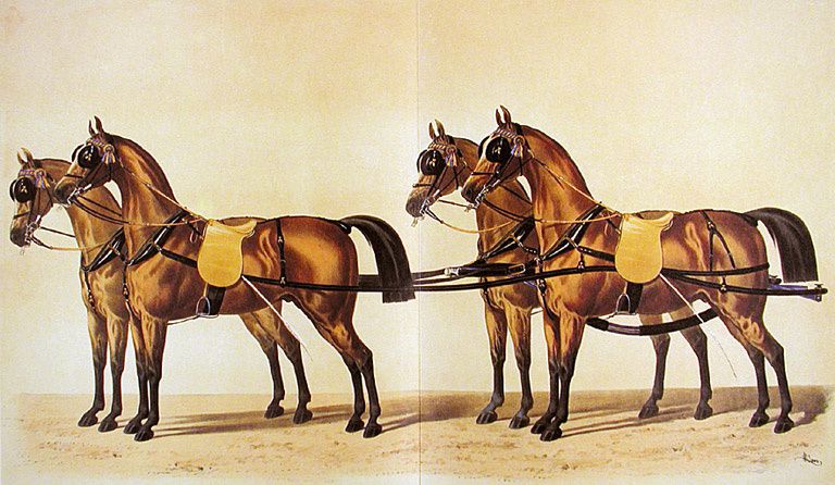 Harnais d’attelage à la d’Aumont. Léné : La sellerie Française et étrangère,  1878, planche XIII.