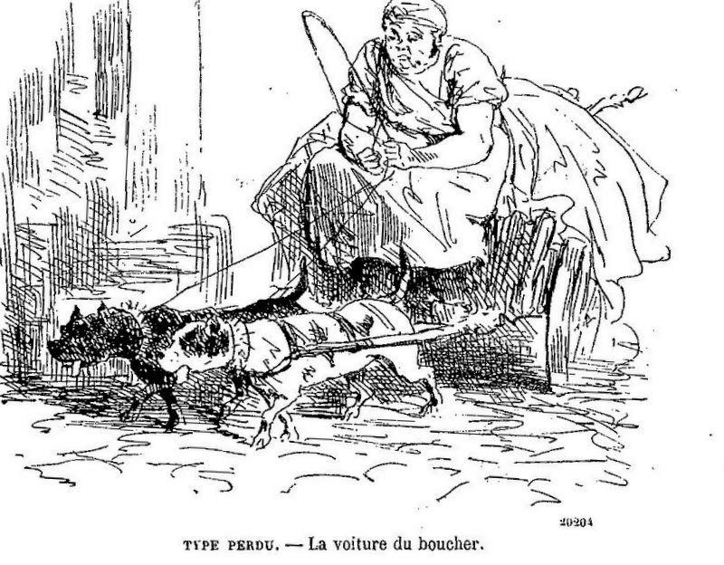 Attelage et…… dessins satiriques au 19° siècle