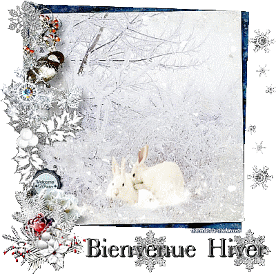 bonjour-bienvenue-hiver-gif-animé