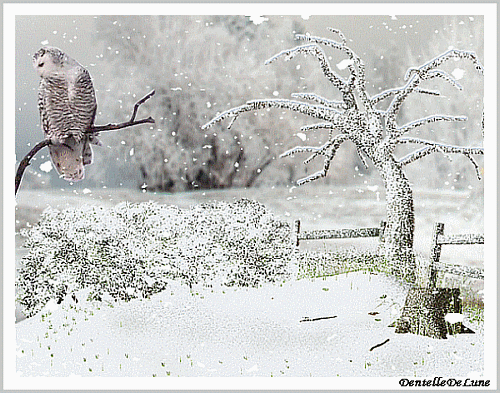 Paysage Hiver Enneige Avec Harfang Des Neiges Gif Anime Les Gifs Animes De Dentelledelune Paysage Hiver Enneige Avec Harfang Des Neiges Gif Anime Les Gifs Animes De Dentelledelune