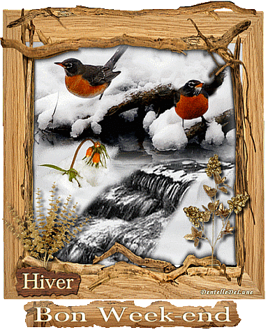 bon-week-end-hiver-oiseaux-ruisseau-neige-gif-animé