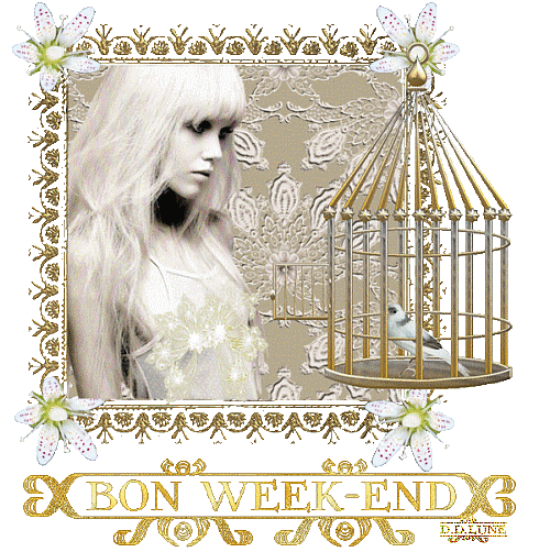 bon-week-end-gif-anime-dentelledelune-avec-femme-et-oiseau
