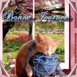 Bonne journée Gif animé avec chaton