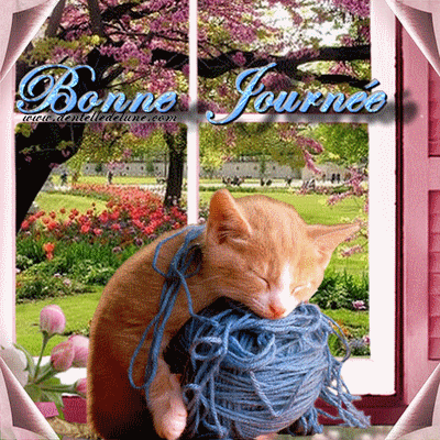 Bonne journée Gif animé avec chaton