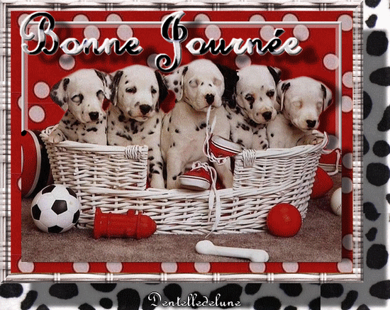 bonne journée gif animé avec chiots dalmatiens