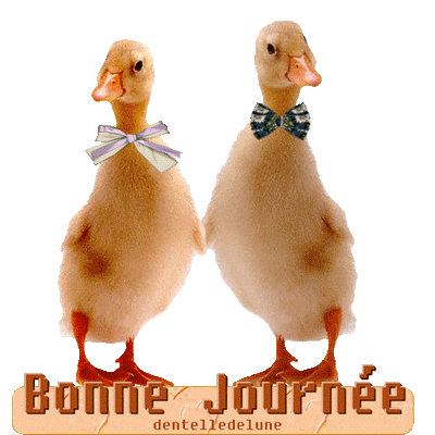 gif animé bonne journée avec canetons