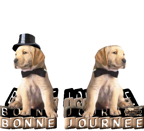 bonne journée gif animé 
