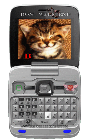 bon week-end - gif animé MMS - chat - bisous